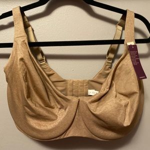 Tan 38 H Cacique Bra